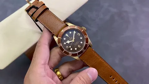 Tudor Watch