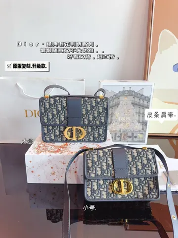 Dior Bag