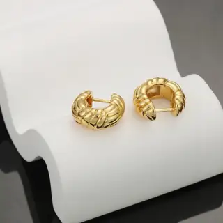 Celine earrings