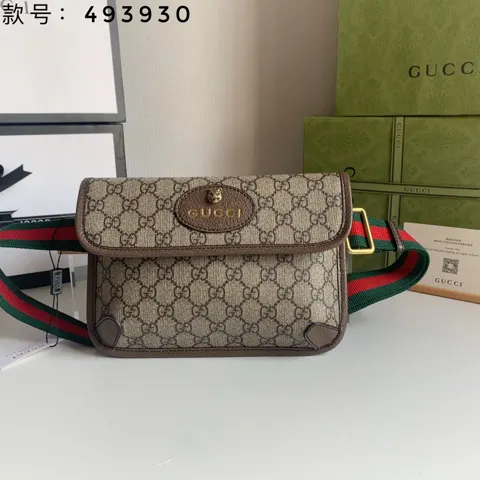 Gucci Bag