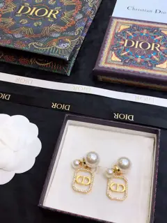 Dior new cd earrings Unique and full of tension