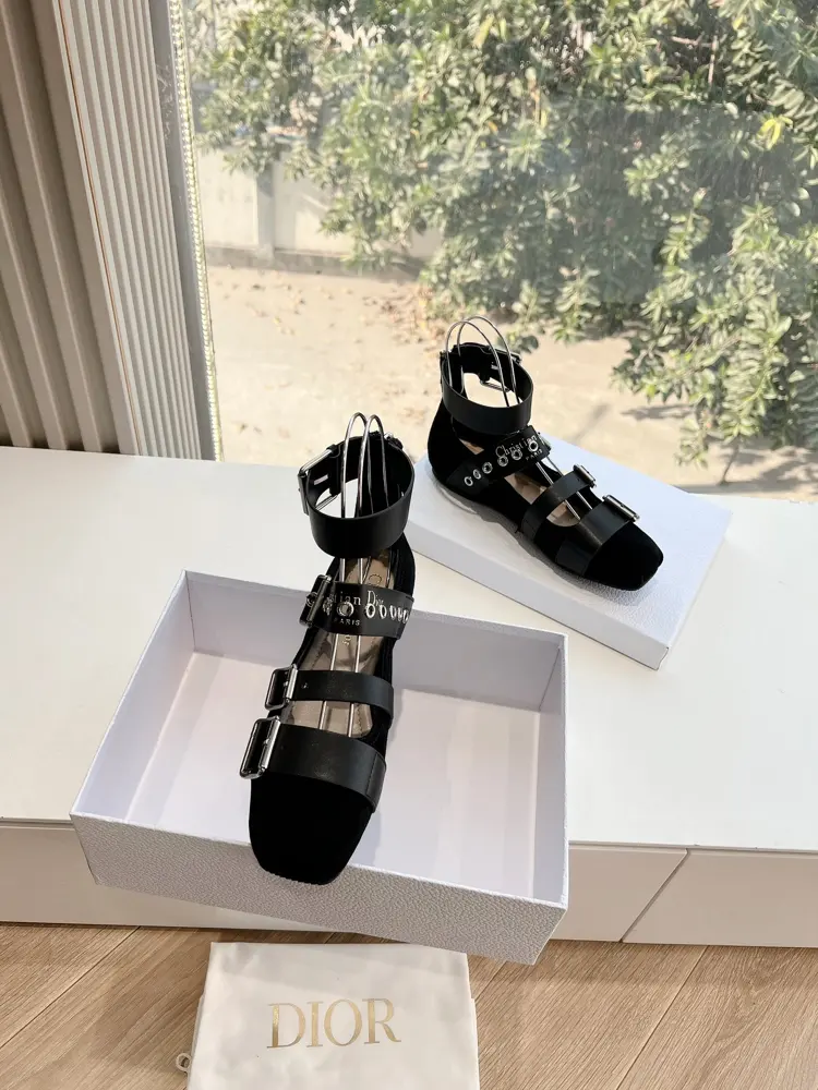 Dior 2025 early spring new loafers