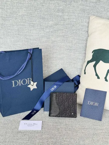Dior Saddle