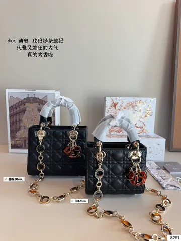 Dior Bag