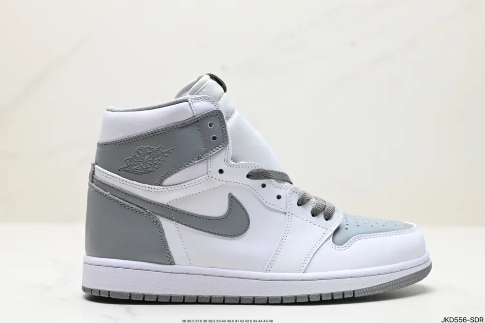 Nike AIR JORDAN 1 Sneakers 555088-061
