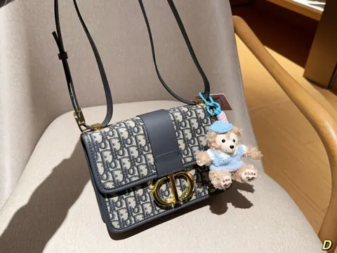 Dior Bag