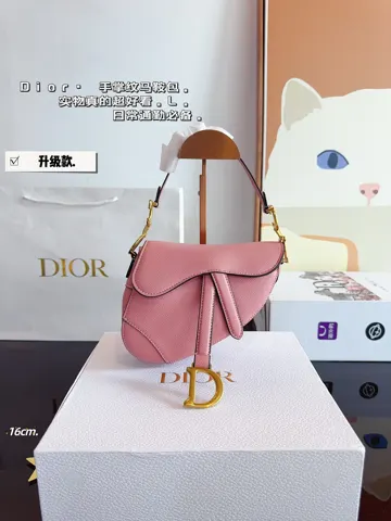 Dior Saddle