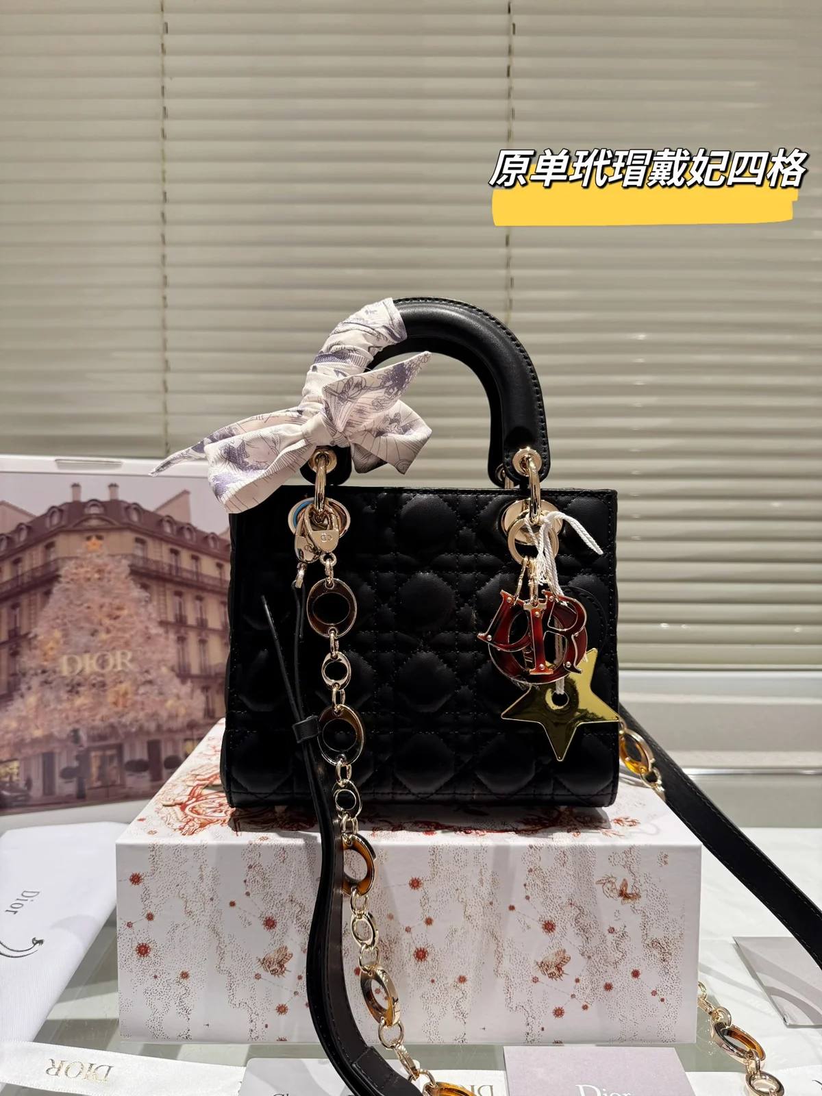 Dior Bag