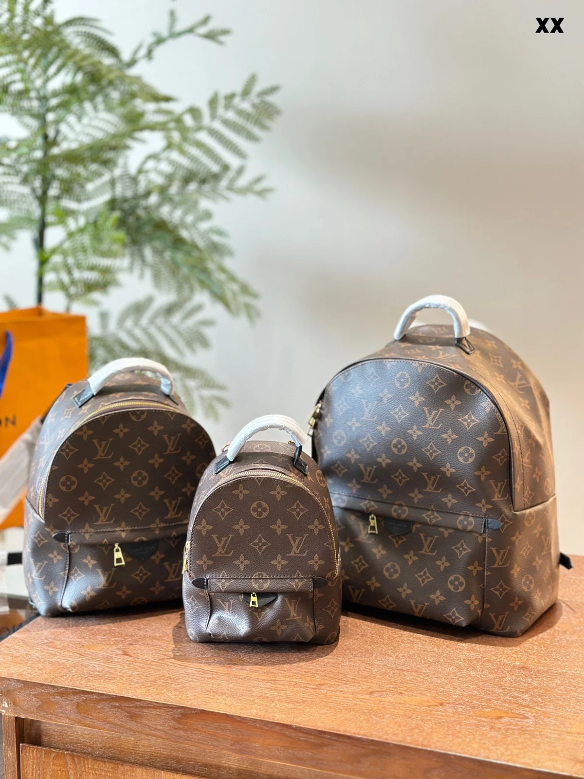 Louis Vuitton Backpack