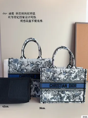 Dior Book Tote