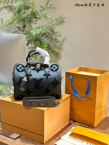 Louis Vuitton Bag
