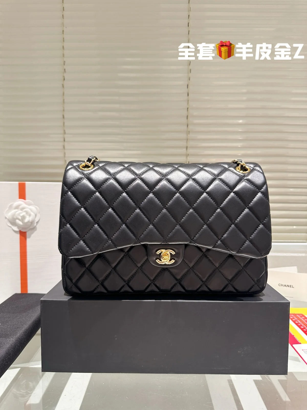 Chanel Bag