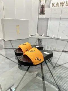 Dior slippers