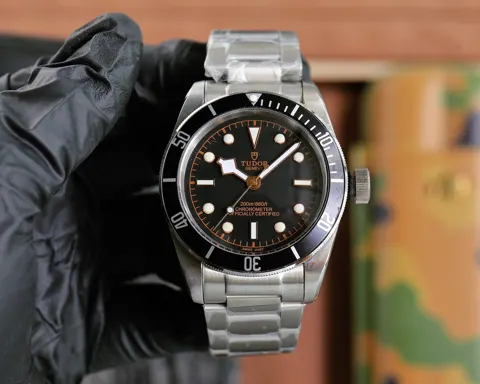 Tudor Watch