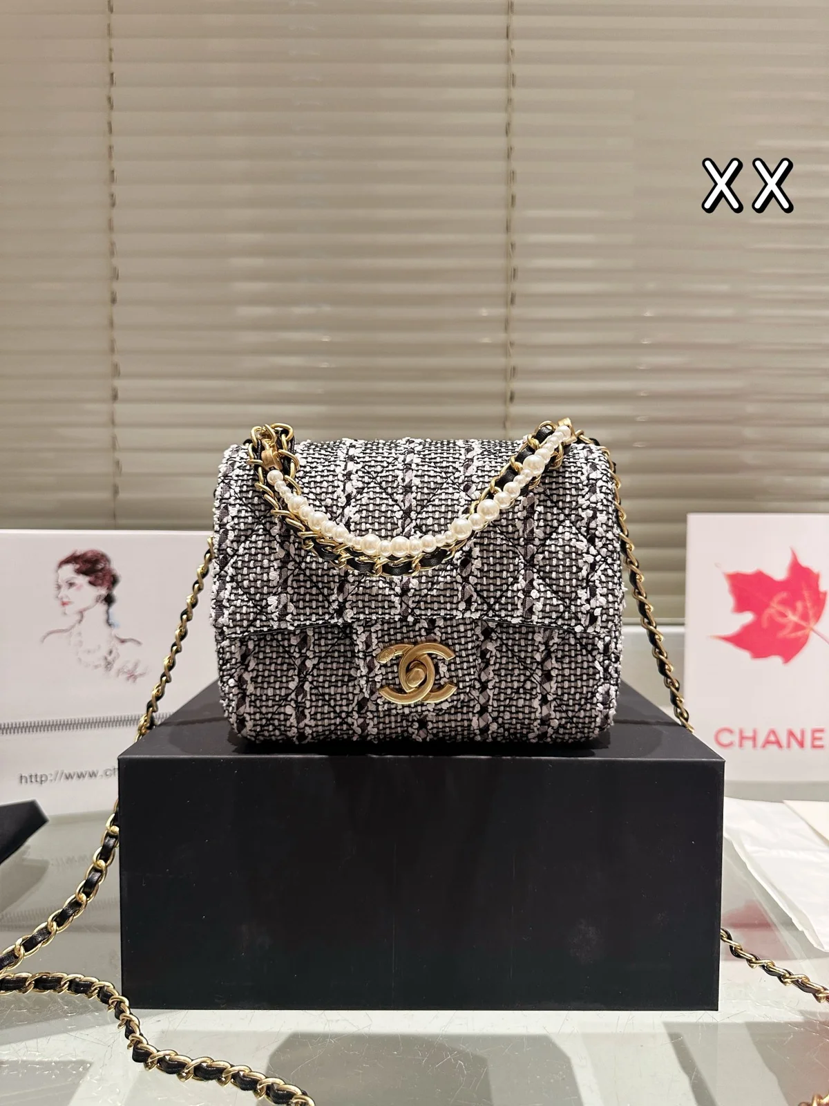 Chanel Bag