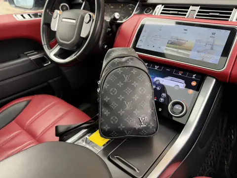 Louis Vuitton Bag