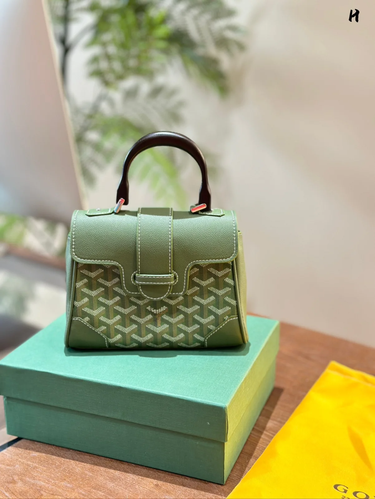 Goyard Bag