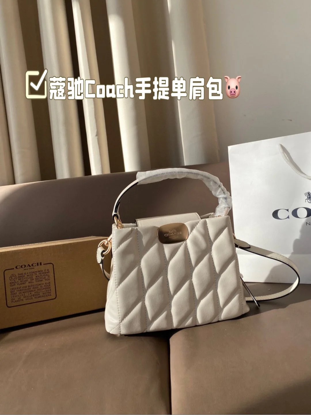 COACH Shoulder Bag