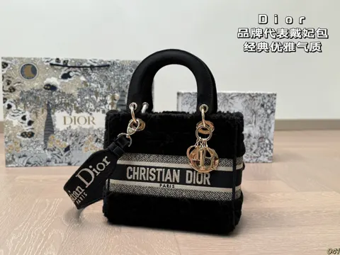 Dior Bag
