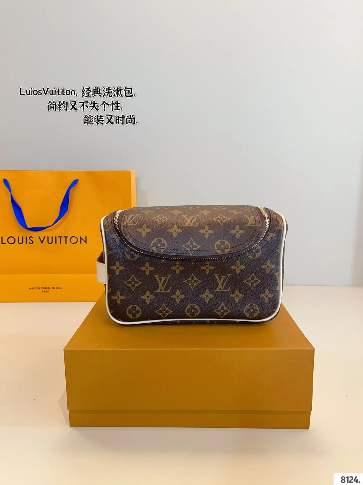 Louis Vuitton Bag