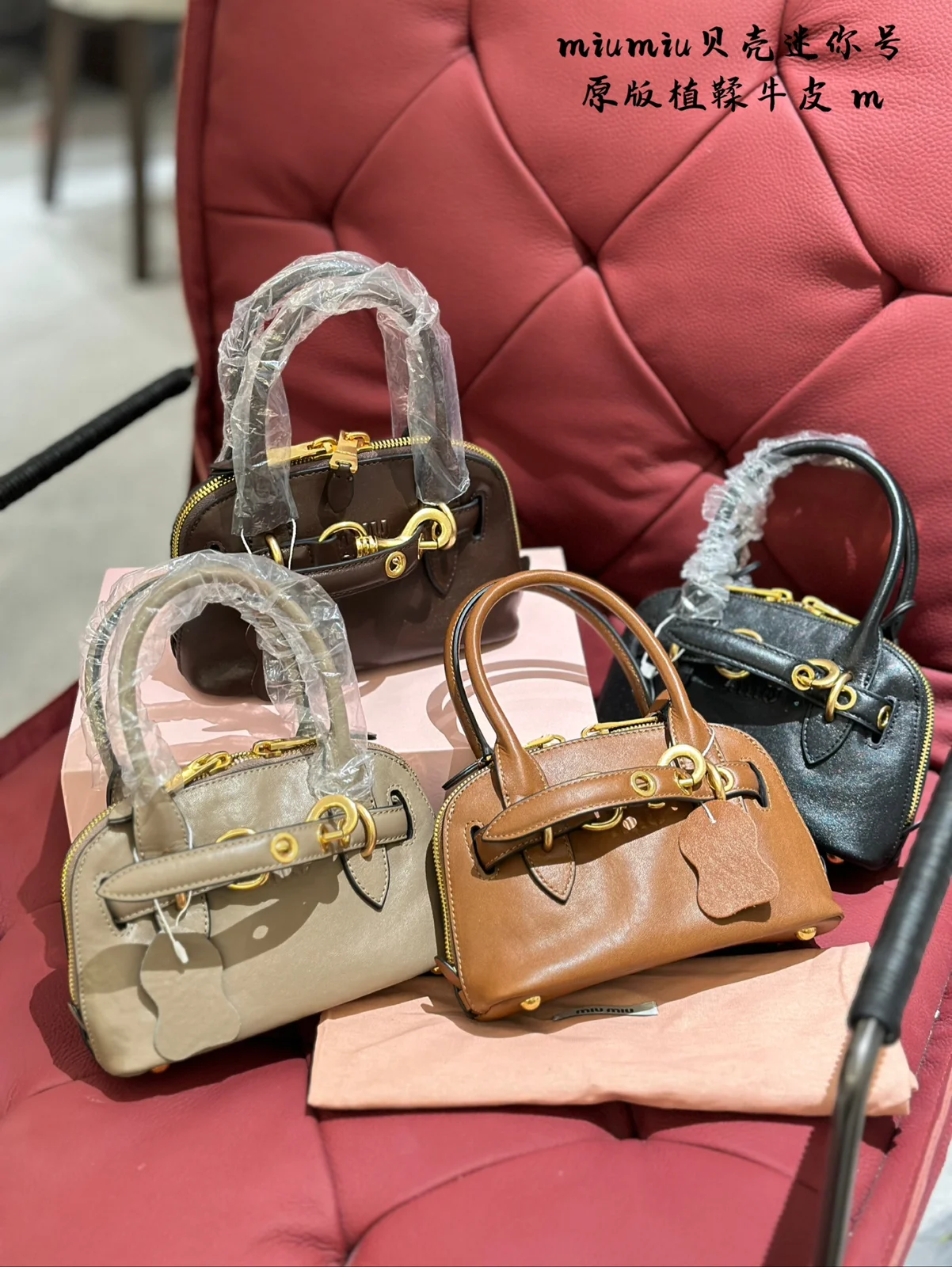 MiuMiu Bag