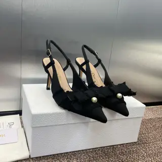 J’ADIOR tassel webbing women’s shoes Dior 2024 spring and summer catwalk new Adiorble