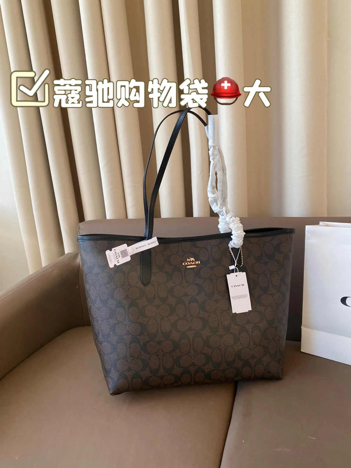 COACH Bag