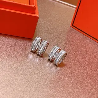 Hermes earrings