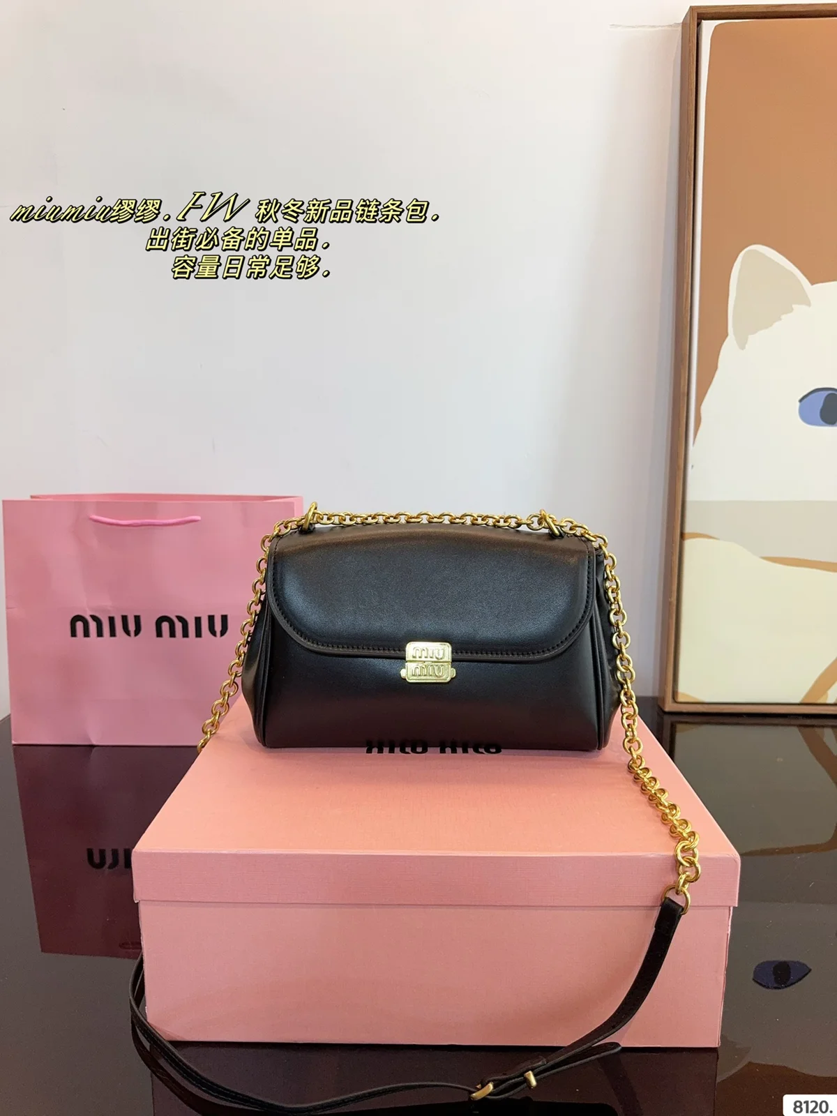 MiuMiu Bag