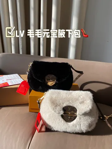 Louis Vuitton Bag