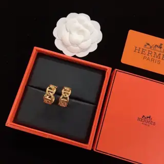 Hermès new earrings
