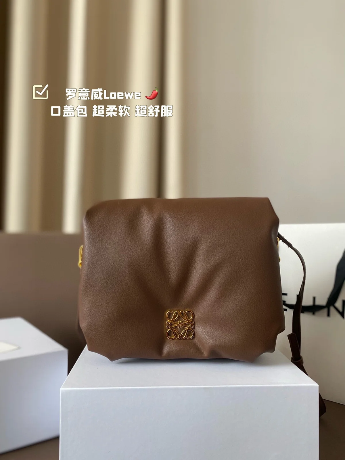 Loewe Bag