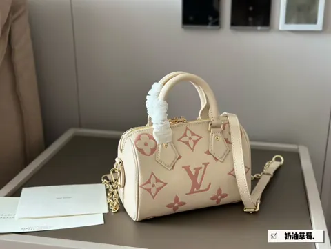 Louis Vuitton Bag