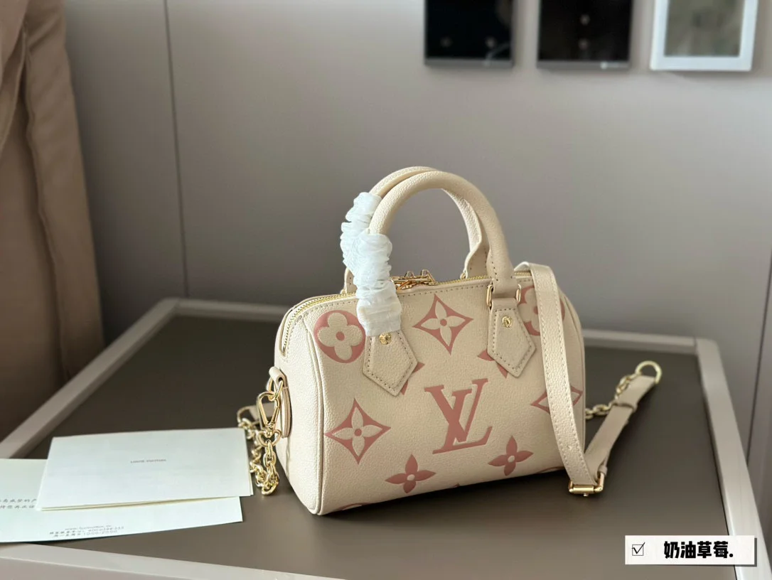 Louis Vuitton Bag