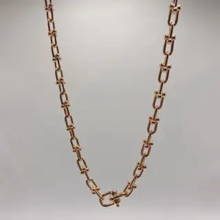Tiffany joint thick necklace major internet celebrities bloggers TiffanyHardWear hot launch