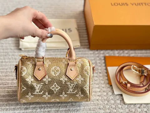 Louis Vuitton Bag