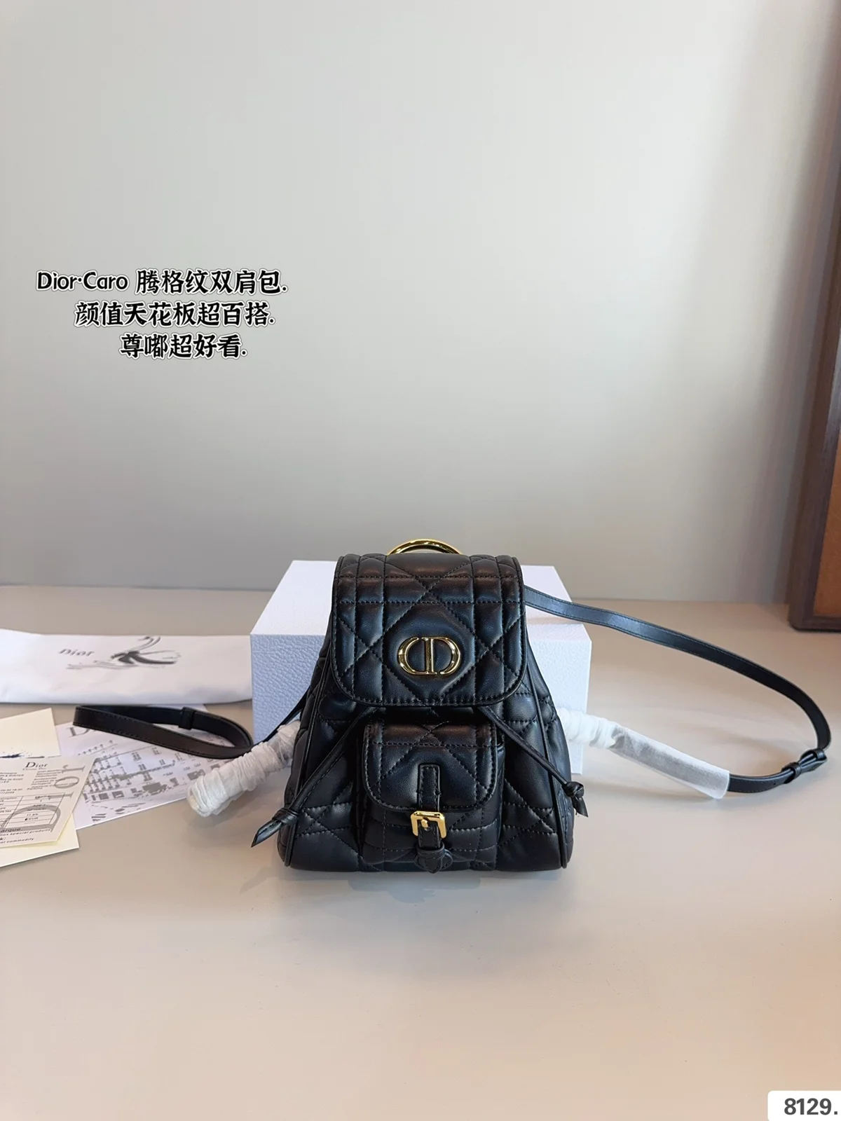 Dior Backpack