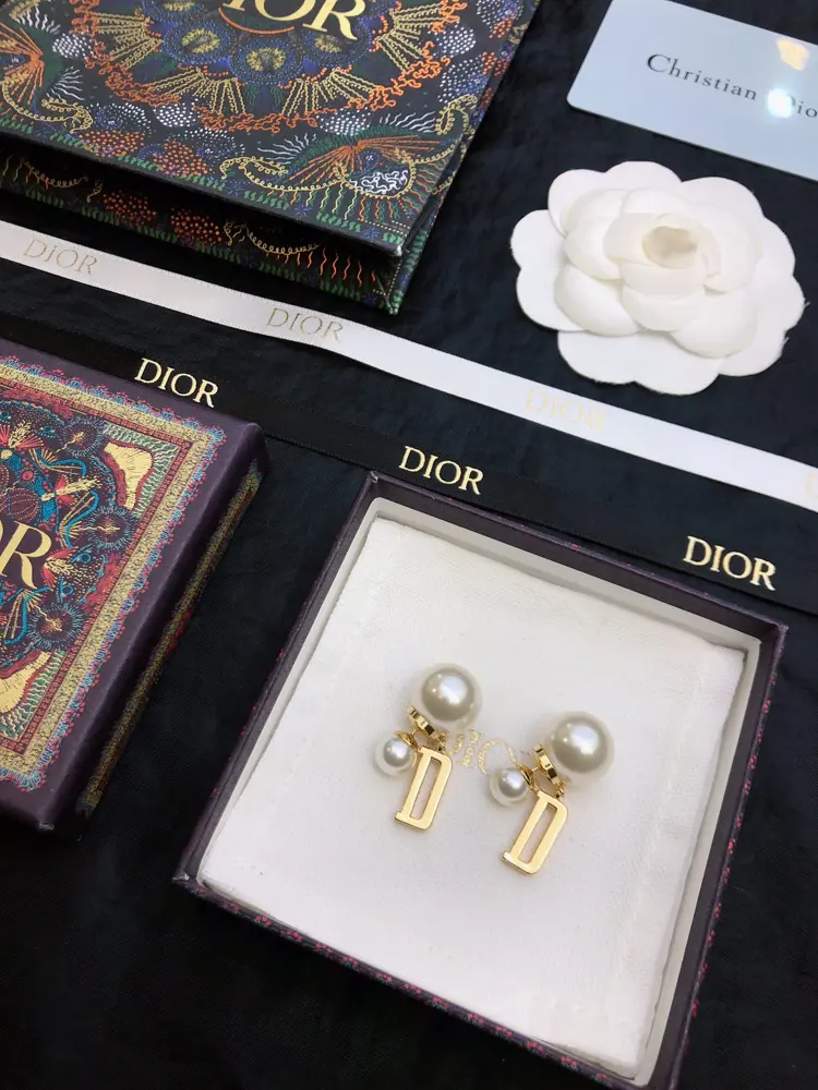Dior new style earrings beautiful simple and elegant fashionable and generous