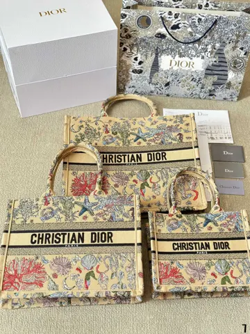 Dior Book Tote