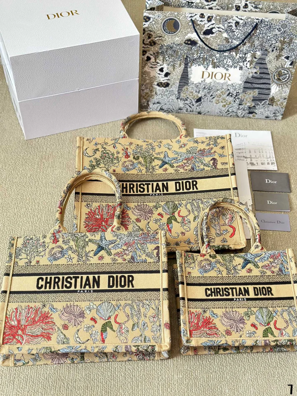 Dior Book Tote