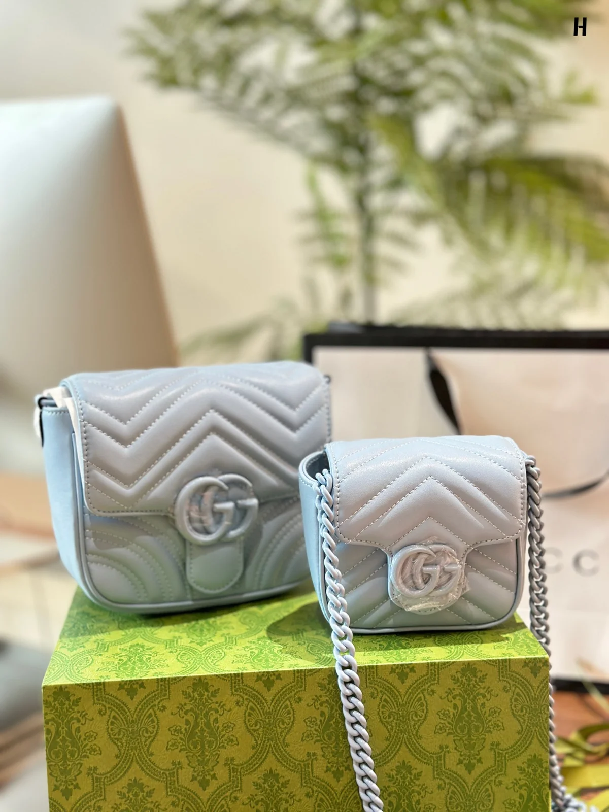 Gucci Bag
