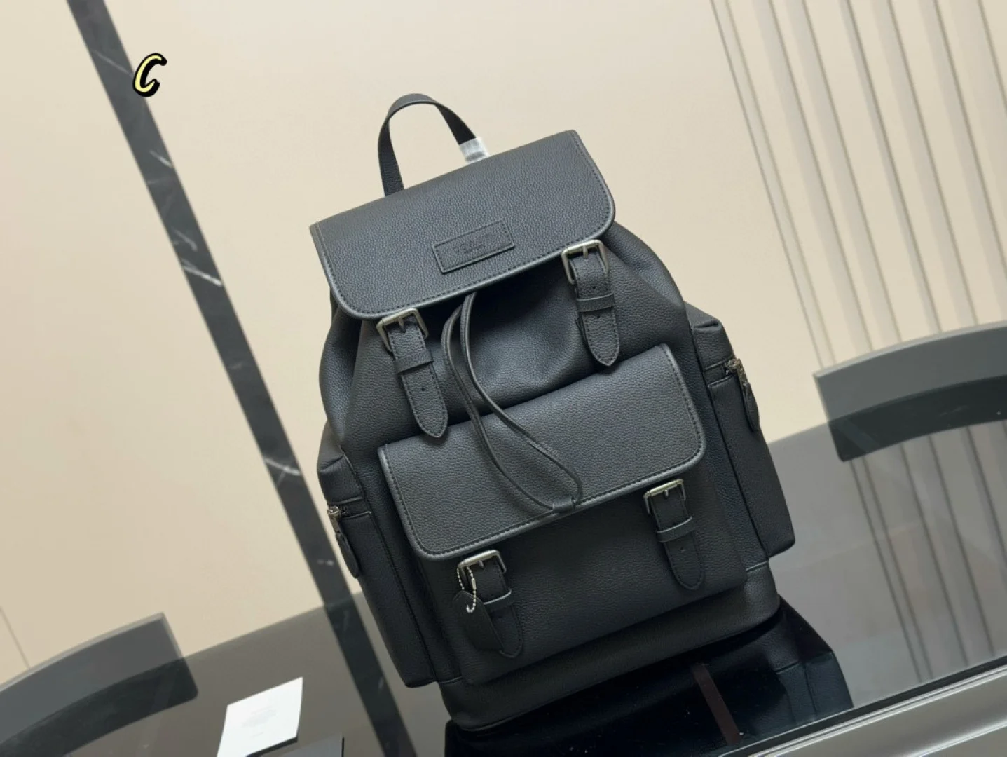COACH Backpack