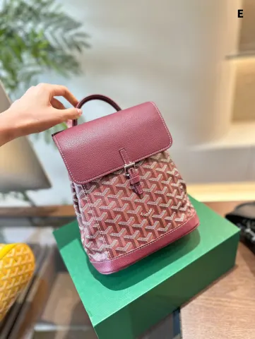 Goyard Backpack