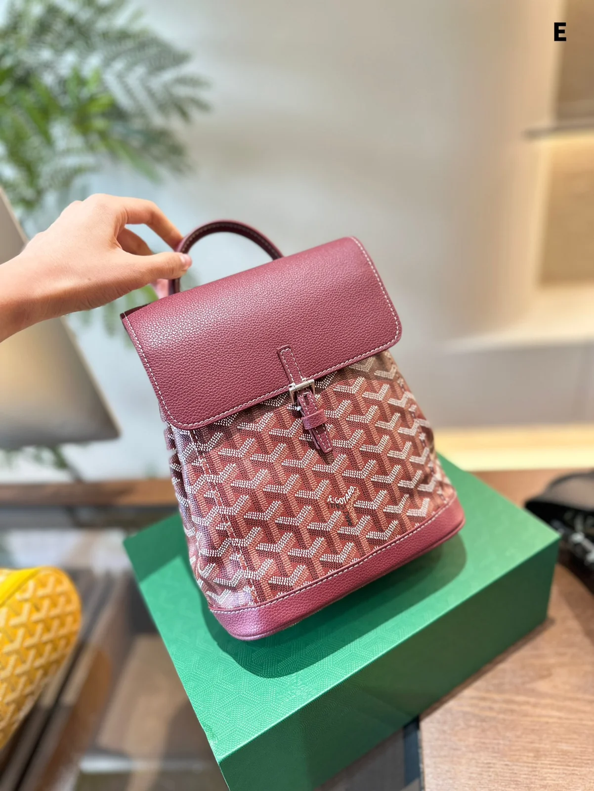 Goyard Backpack