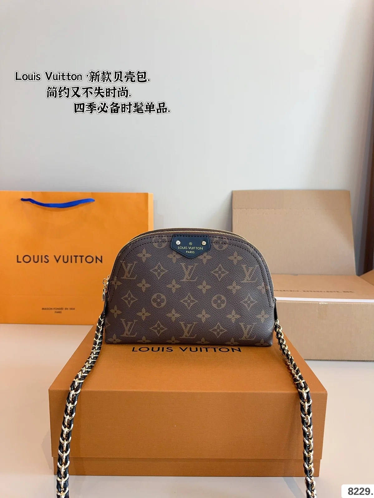 Louis Vuitton Bag
