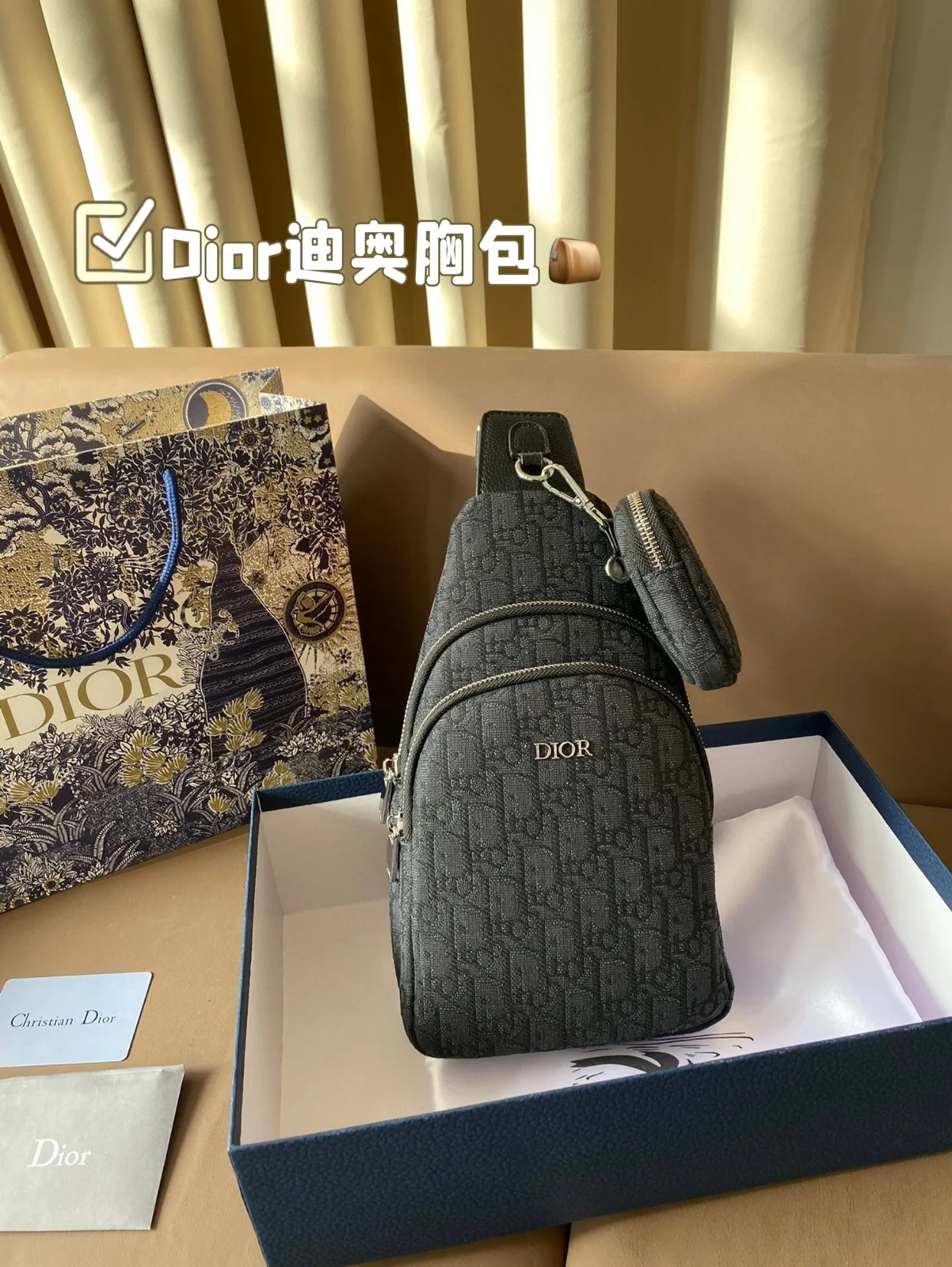 Dior Bag