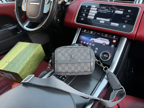 Gucci Ophidia