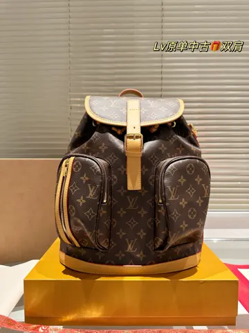 Louis Vuitton Bag