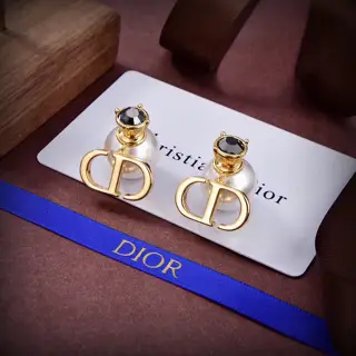 Dior new style Dior new letter earrings loved by all the top brands. The metal texture