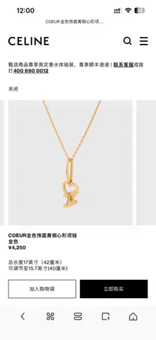 Celine Necklace Bracelet Earrings